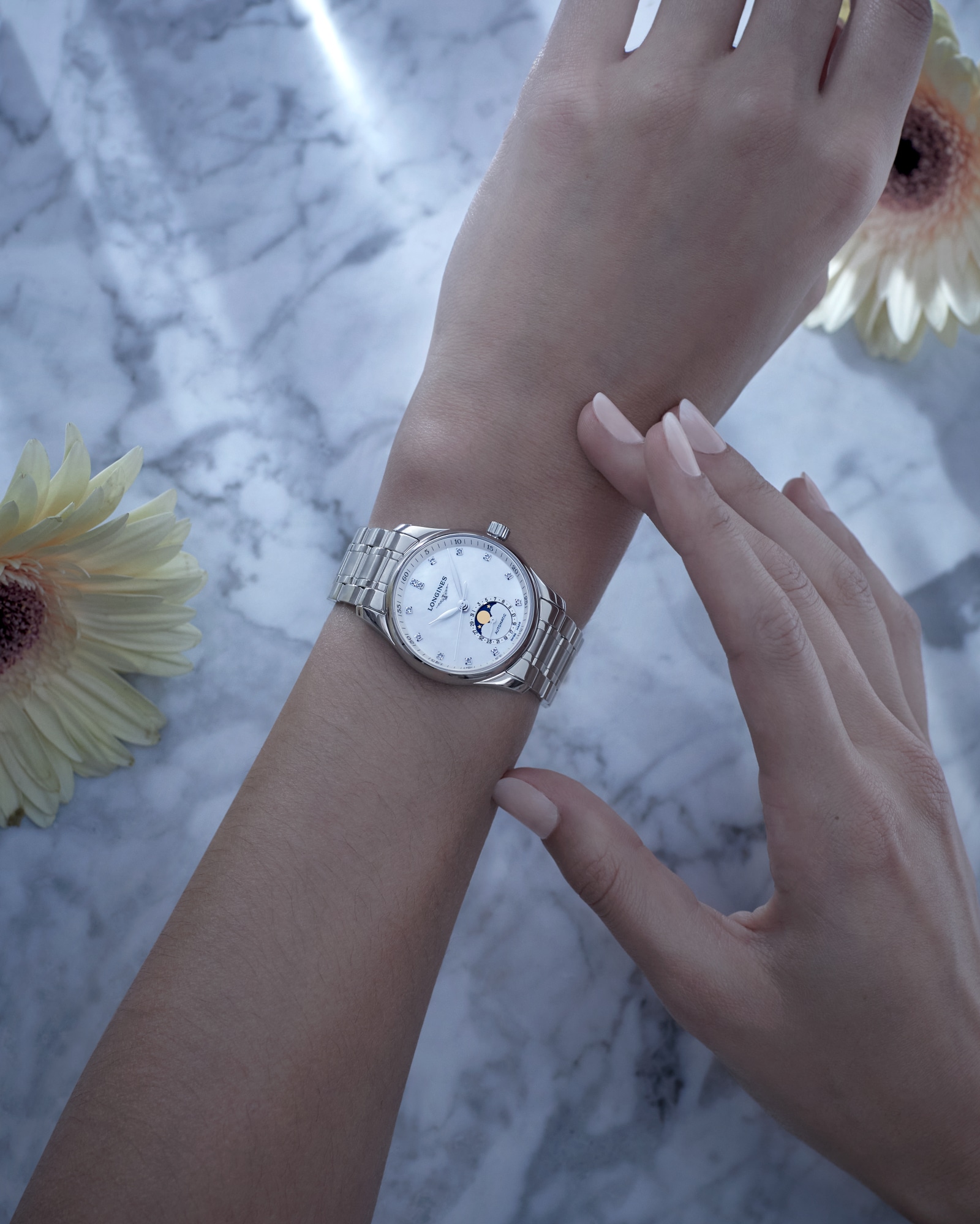 ハミルトン ディスプレイ セット 希少 F ④ ハミルトン ディスプレイ