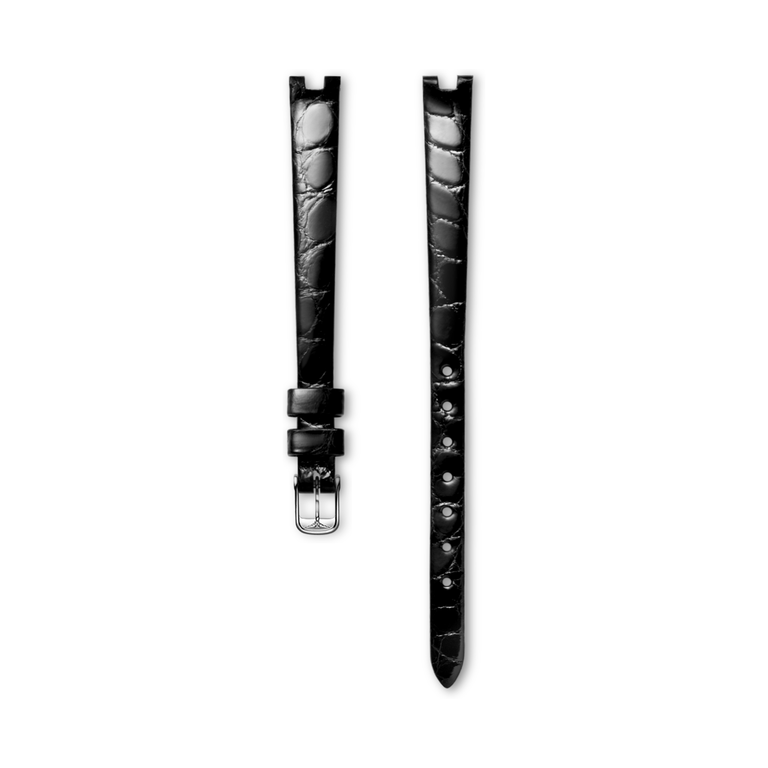 Longines Bright black alligator strap - L682145982 & L649101645