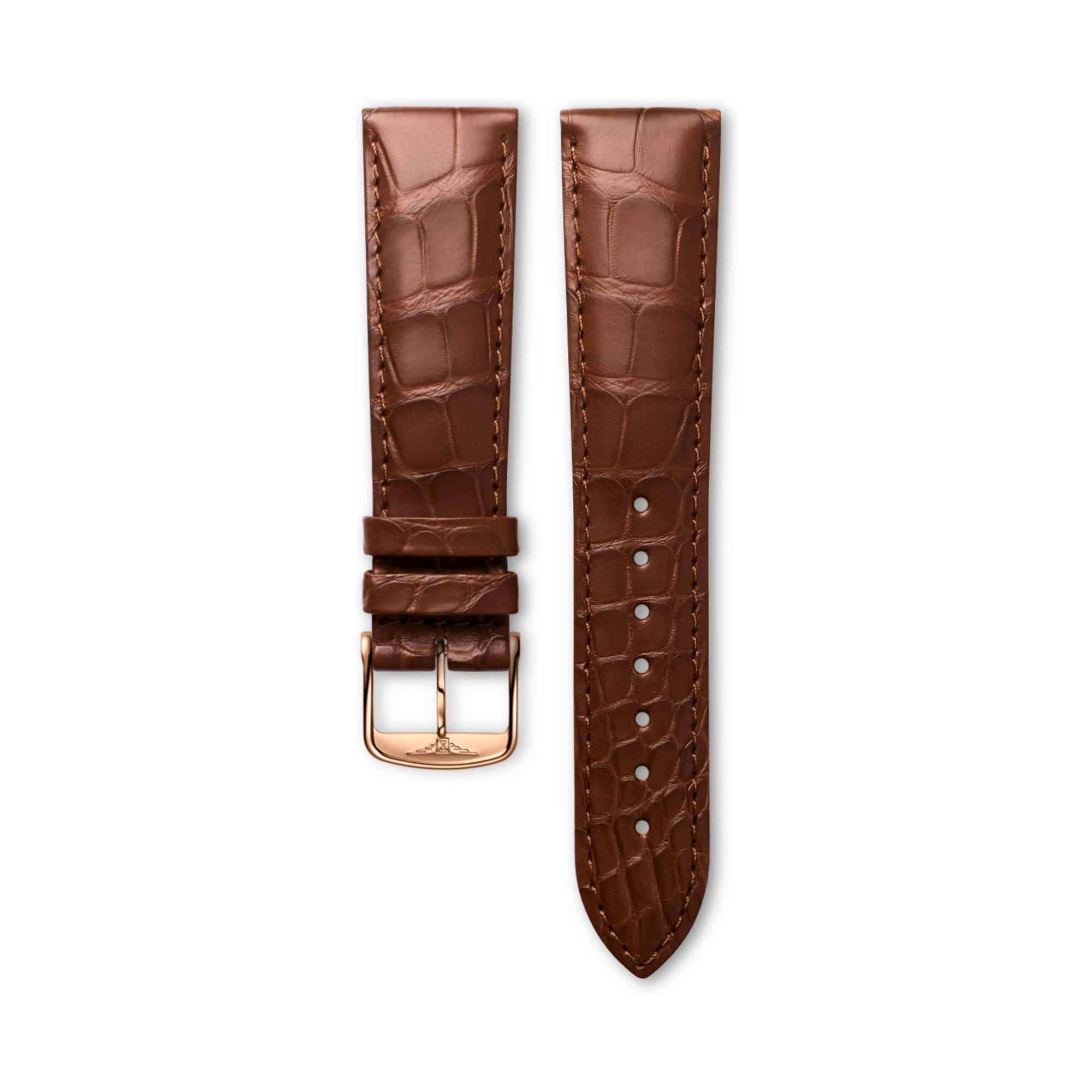 Matt Brown Alligator Strap 21mm | Cl682120476 | HERITAGE CLASSIC