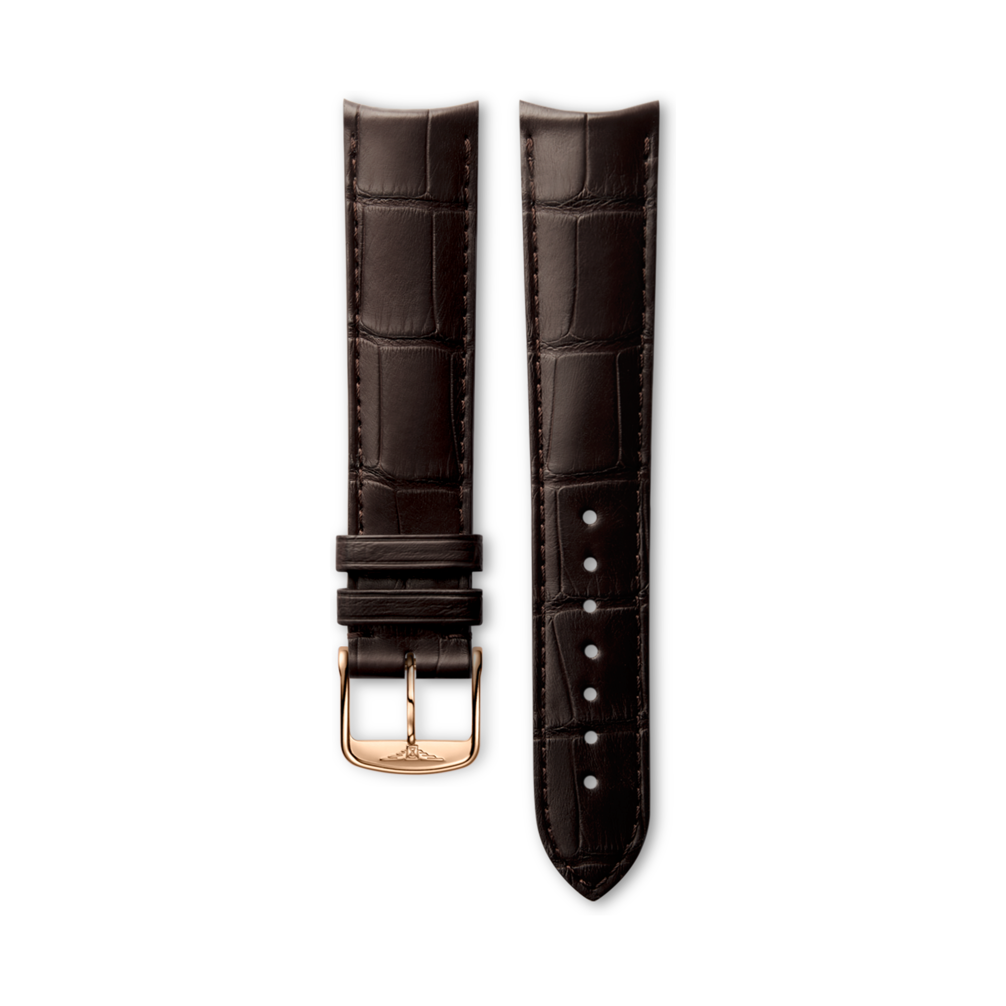 【初回限定】 Matt Brown Alligator Strap Cl682101244, 20cm | LONGINES US アーネット