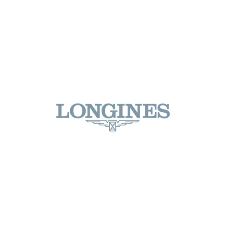 LONGINES MASTER COLLECTION MOONPHASE อัตโนมัติ, สแตนเลสสตีล, สีดำ ...